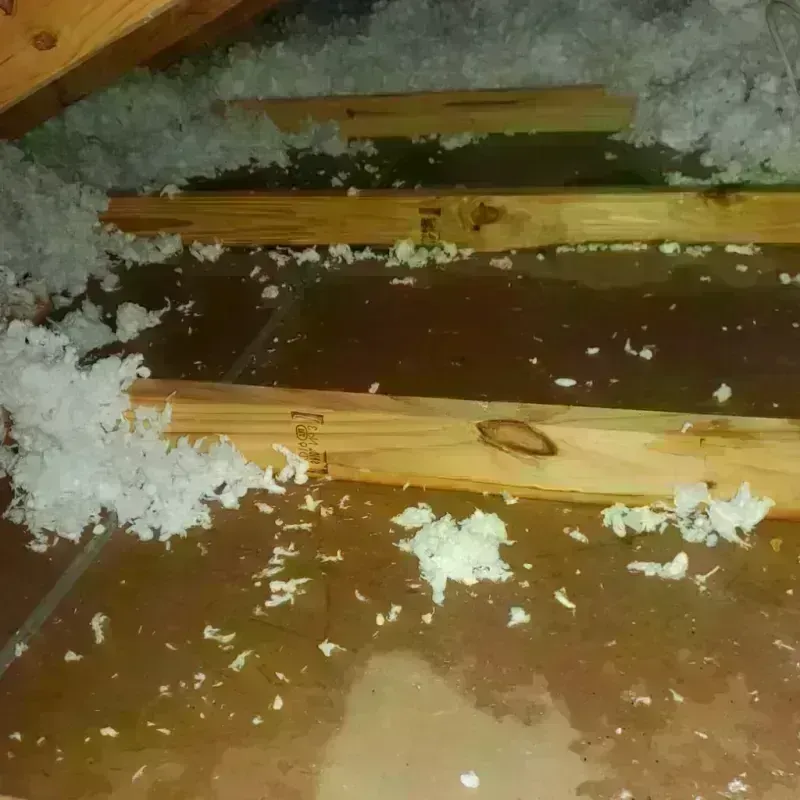 Attic Water Damage in Leland, MS