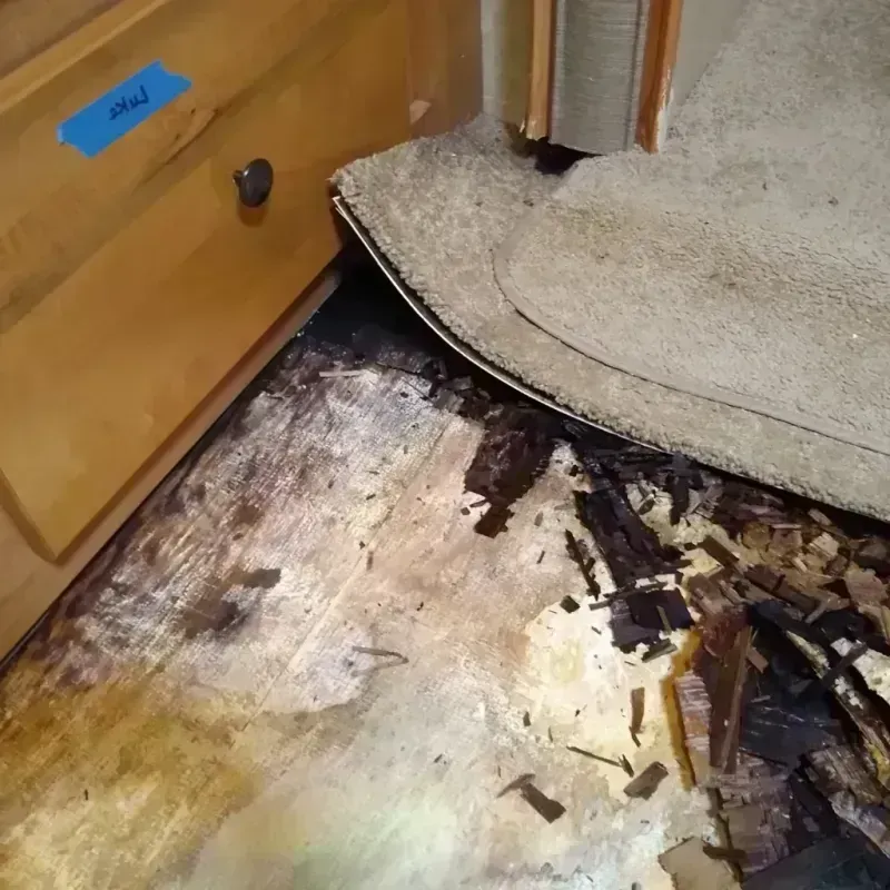 Wood Floor Water Damage in Leland, MS